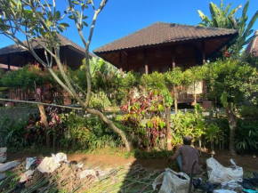 Rumanero Bungalows #2